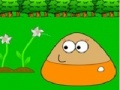Игра Puzzle Pou in Garden