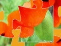 Игра Oriental Poppy Jigsaw