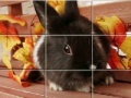 Игра Puzzles Grey Rabbits