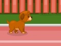 Игра Puppy racer