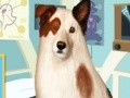 Игра Eye Care Dog With A Blog