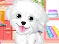 Игра Fluffy puppy pet: Spa and care