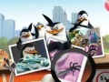 Ігра Penguins of Madagascar Numbers