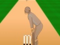 Игра Cricket Super Sixes Challenge