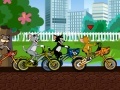 Игра Toms Bmx Race