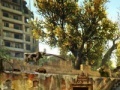 Игра The Abandoned Neighbourhood