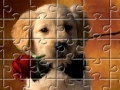 Игра Puzzles Little Puppy