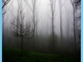 Игра Morning mist jigsaw