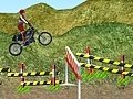 Игра Motorcycle Rally