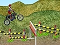 Игра Motorcycle Rally