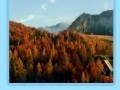 Игра Slovenia jigsaw
