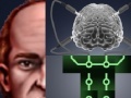Игра Berts Brain