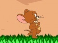 Игра Run Jerry Run