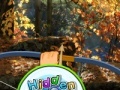 Игра Hidden Autumn Butterfly