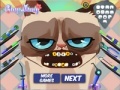 Игра Grumpy cat. Dental care