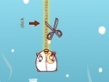 Игра A pig in a poke