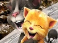 Игра Talking Tom and Ginger Sledging