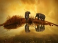 Игра Thailand Elephant Slider