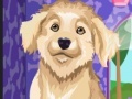 Игра Design Your Doggies Outfit