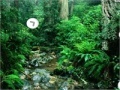 Игра Escape from Amazon Forest