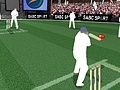 Игра Cricket