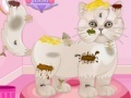 Игра Persian cat princess spa salon