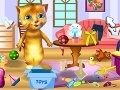 Игра Ginger: Cleaning House