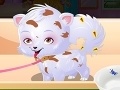 Игра Baby Hazel Puppy Care