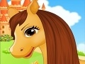 Игра Belle's Caring Horse