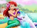 Игра Ariel Dolphin Wash