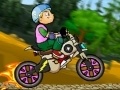 Игра Bicycle Mania