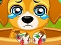 Игра Paw Doctor