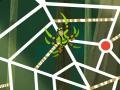 Ігра Wild Kratts: Web-Tastic!