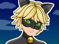 Игра Miraculous Ladybug Cat Noir