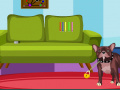 Игра Dexter Dog Escape