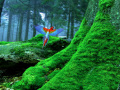 Игра Birds Forest Escape