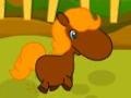 Игра Pony Races