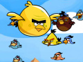 Игра Bird Catcher 
