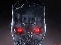 Игра Terminator Genisys Hidden Spots