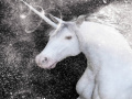 Игра White Unicorn Hidden Stars