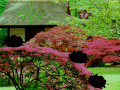 Ігра Seasonal Garden Escape
