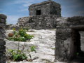 Ігра Mystery of Mayan Stone Escape
