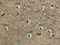 Ігра Area51 Tower Defense