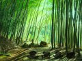Игра Bamboo Forest Monkey Escape