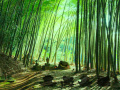 Ігра Bamboo Forest Monkey Escape