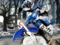 Игра Winter Bike Challenge