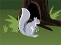Игра Squirrel