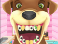 Игра Animal Dentist 