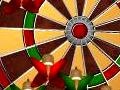 Игра Dart Champion