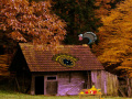 Ігра Mysterious Turkey Forest Escape 